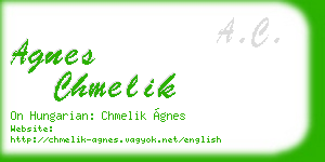 agnes chmelik business card